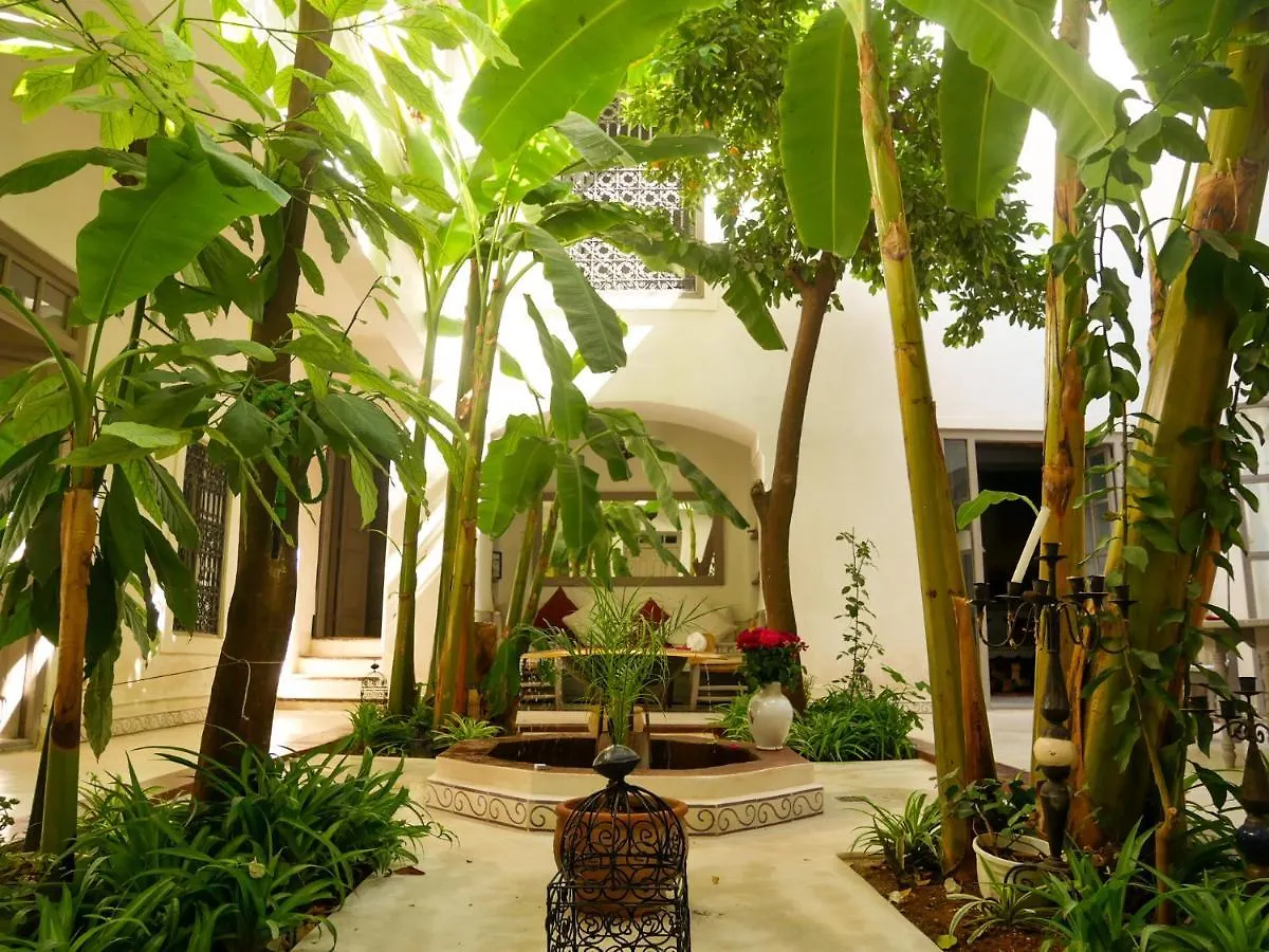Riad Dar Aman contacts